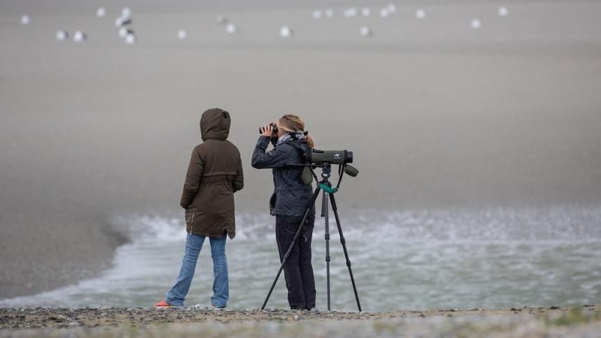 Deux Personnes Observent La Baie Aux Jumelles Depuis Le Rivage