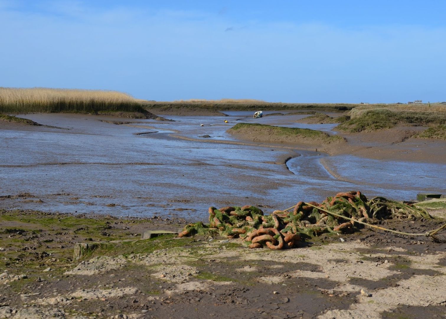 Estran Vaseux à Marée Basse, Chenaux Sinueux Et Cordages Sur La Berge